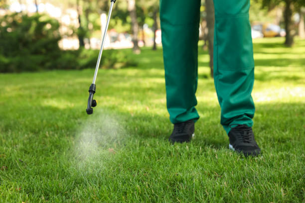 Best Flea Control Services  in Clarcona, FL