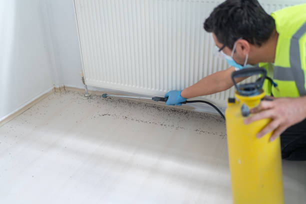 Best Pest Prevention Services  in Clarcona, FL